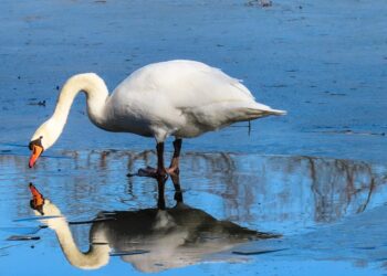 Unlock Your Potential: 10 Game-Changing Self-Improvement Tips for Students