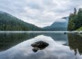 Unleash Your Potential: 10 Powerful Motivational Tips to Fuel Your Success