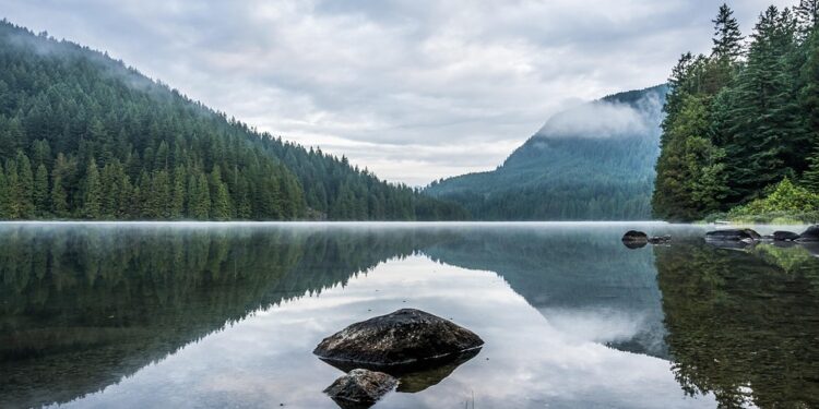 Unleash Your Potential: 10 Powerful Motivational Tips to Fuel Your Success