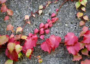 Level Up: Essential Self Improvement Tips for Men