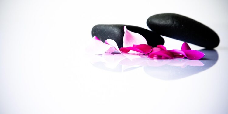 Unlocking the Path to Total Wellness: A Journey to Transformation